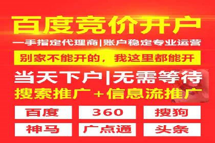 百度SEO推广公司案例剖析：助力企业提升排名
